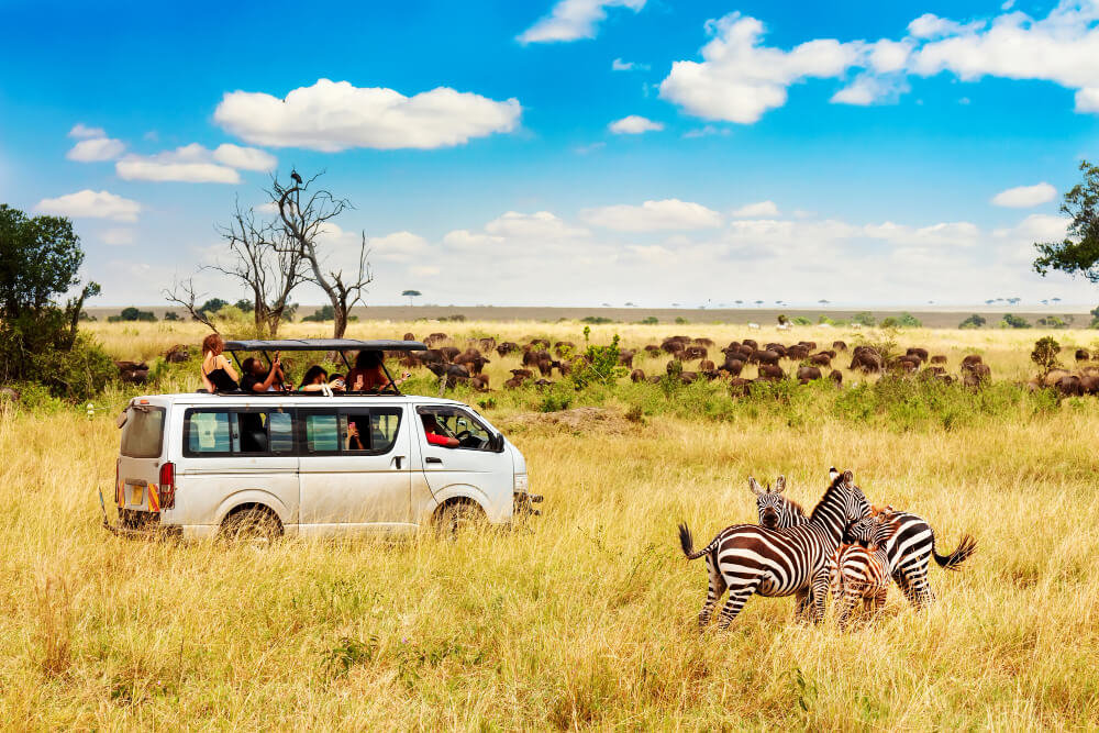Akagera National Park
